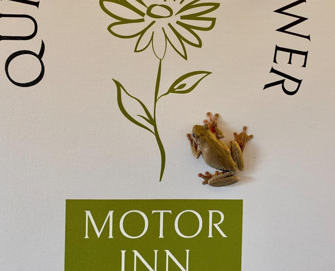 Quirindi Sunflower Motor Inn Exterior foto